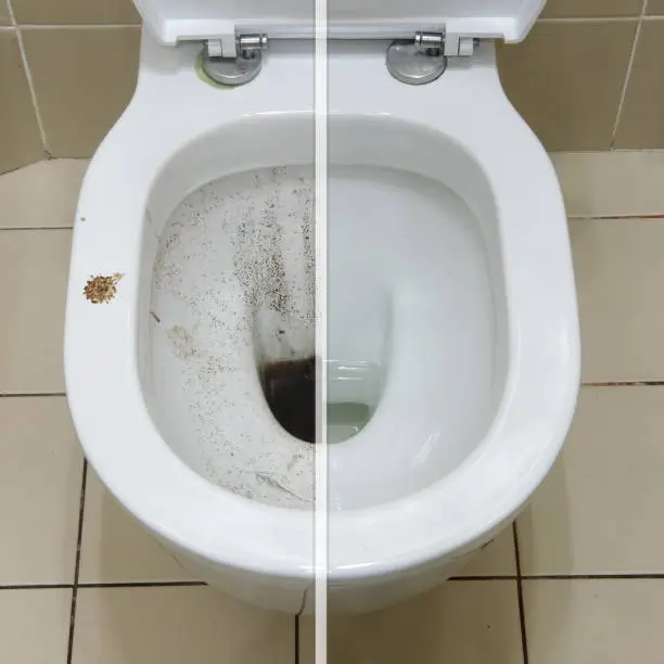 Blocked Toilet