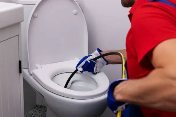Toilet Drain